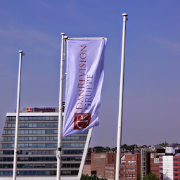 Logo von DanRevision Gruppe