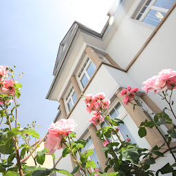 Logo von STACH & PARTNER Steuerberater mbB